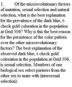 Explanation of Evolution of Color Morph in Strideo